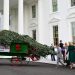 Picking the White House Christmas tree is all about height, sight and light