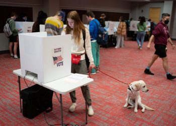 Are young voters actually split between Trump and Biden?