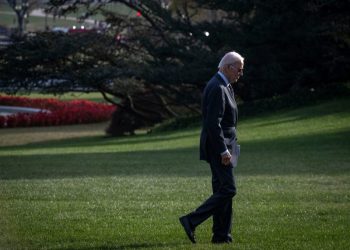 Biden faces expanding list of potential challengers in reelection bid