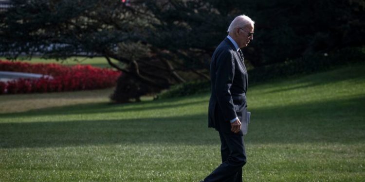 Biden faces expanding list of potential challengers in reelection bid