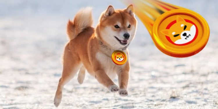 Dogecoin is back above 0.08000, while Shiba Inu is calm