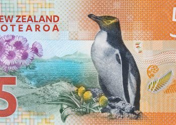 New Zealand’s Native Revamp: The Radical Changes Ahead!