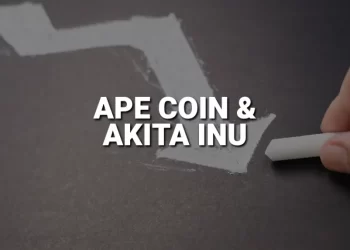 ApeCoin and Akita Inu: Akita Inu in lateral consolidation