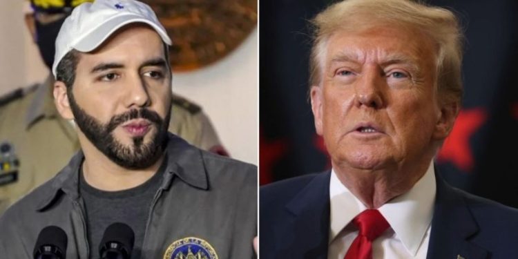 El Salvador president blasts ‘democracy’ in US after Trump’s removal from Colorado ballot