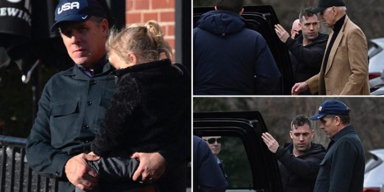 Hunter goes shopping with Joe Biden days after defying congressional subpoena