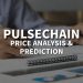 Pulsechain price analysis and prediction by an expert