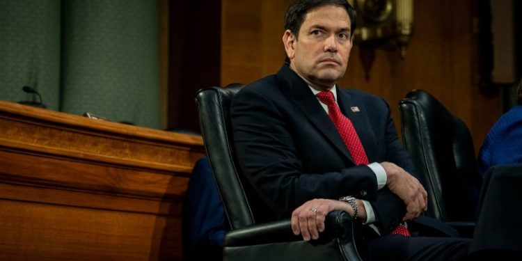 Feds calling for Gaza cease-fire face Rubio’s ‘insubordination’ ire