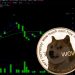 Dogecoin and Shiba Inu: Shiba Inu is testing the EMA50