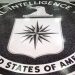 Ex-CIA analyst says intel agencies to be politically active again in 2024 election: ‘Significant problem’