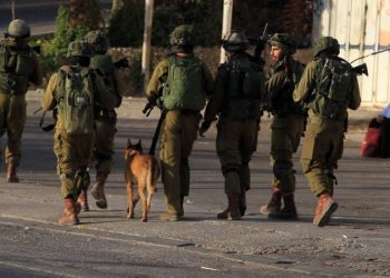 Israeli forces reveal footage of K9 unit clearing houses in Gaza, uncovering Hamas weapons