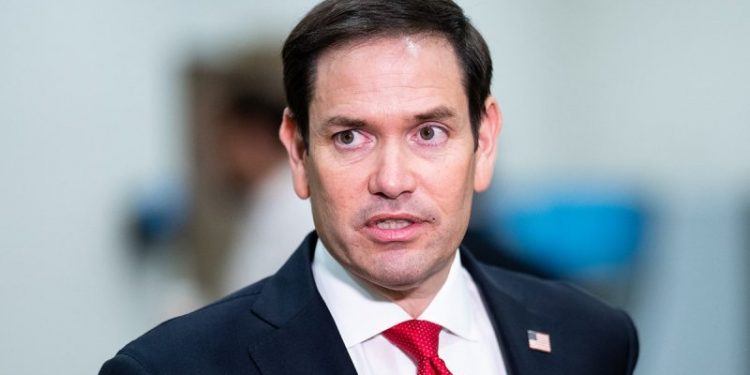 Rubio becomes 2nd Florida senator to endorse Trump over DeSantis