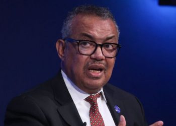 WHO director calls for world pandemic treaty to prepare for Disease X