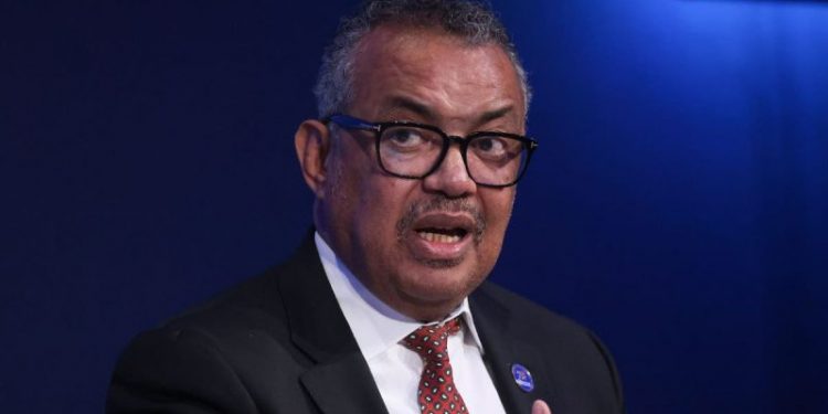 WHO director calls for world pandemic treaty to prepare for Disease X