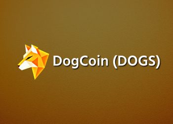 Dogecoin: how to buy and how to mine Dogecoin as a PRO?
