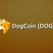 Dogecoin: how to buy and how to mine Dogecoin as a PRO?