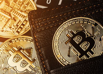 BlackRock’s Bitcoin ETF Hits a Record $1.3 Billion Daily