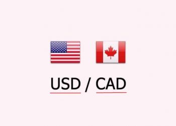 USDCAD Dips to 1.33586: Guide to Recovery Nowadays