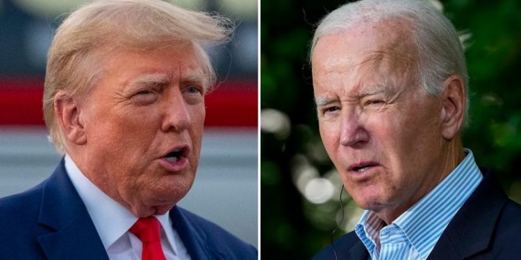 Majority of Americans believe both Biden and Trump are too old for another term: poll