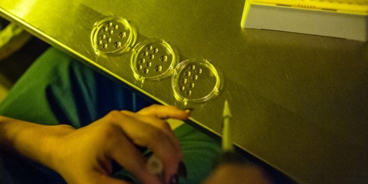 New polls spotlight the GOP’s IVF dilemma