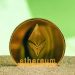 Ethereum rose to the $3500 level yesterday to a new high