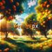 OrangeDX ICO (O4DX) Targets $590K: A New DeFi Chapter