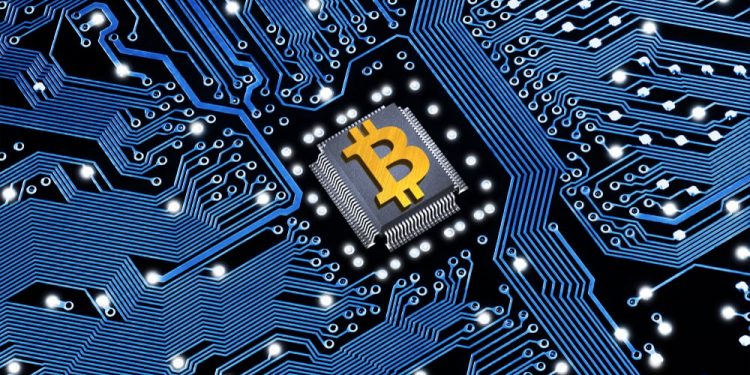 Blue Chip Crypto: Examples and Their Role in Crypto Word