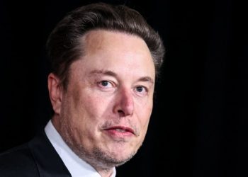 Tesla’s affordability push eases growing doubts about its performance and Musk’s focus