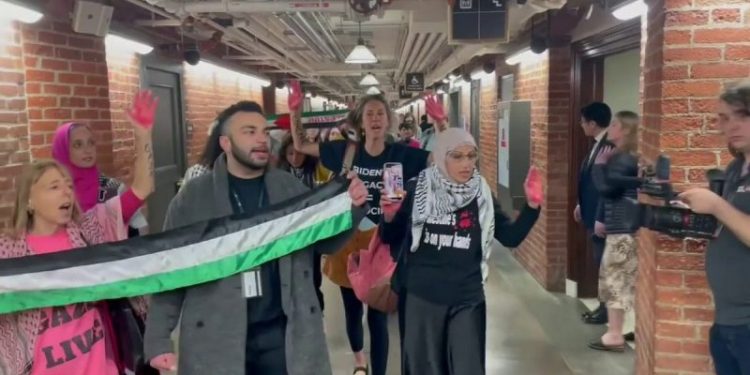 Anti-Israel agitators shut down Senate cafeteria; around 50 arrested