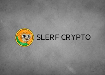 Slerf Crypto: What Do You Need to Know About This Token