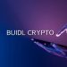 Buidl Crypto Price Dynamics:  Investment Opportunities