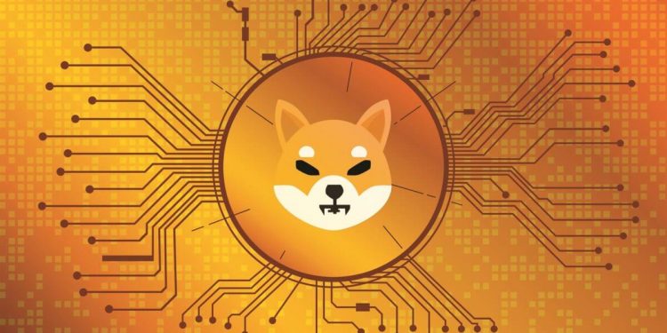 Shiba Inu Rises Five Percent: A Market Uplift Story