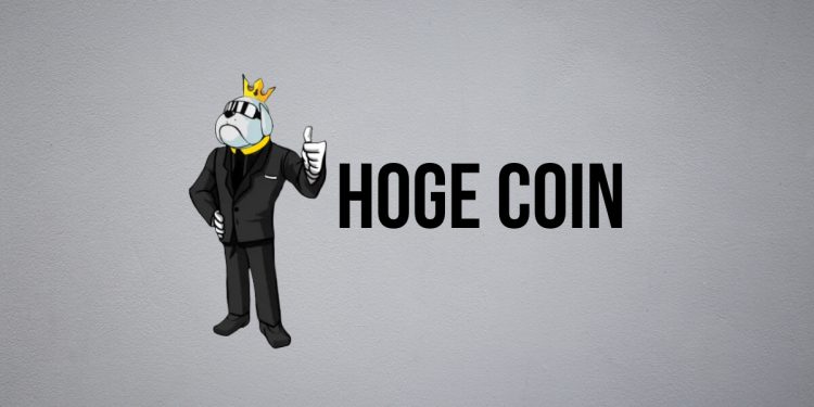 Hoge Coin: Where the Deflation Meets Philanthropy