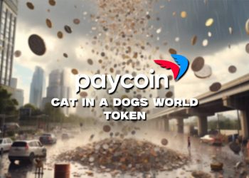 Paycoin’s Volatile 22.73% Plunge & 2024 Market Outlook