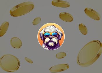 Hava Coin – Where to Buy It and How Much It Will Be Worth?