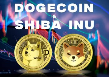 Dogecoin backs down under pressure, and Shiba Inu too