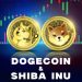 Dogecoin and Shiba Inu continue to descend to new lows