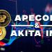 ApeCoin and Akita Inu: ApeCoin drops to support again
