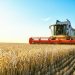 Top 10 Phosphate Countries by Production (Updated 2024)