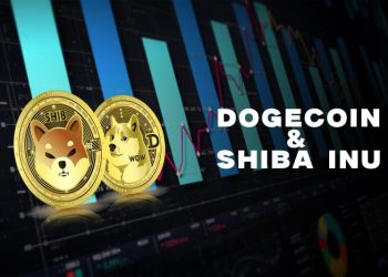 Dogecoin and Shiba Inu: Daily Targets and Prices