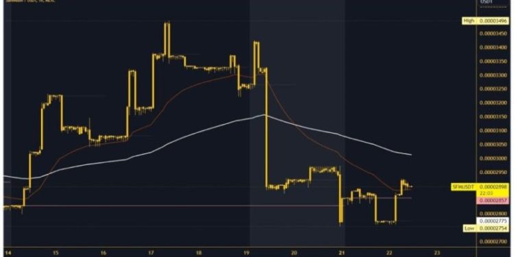 SafeMoon and Litecoin: New Targets and Support Levels