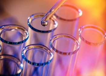 5 Top NASDAQ Biotech Stocks of 2024