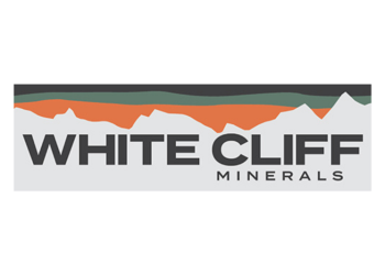 Large Scale Copper Discovery Confirmed
