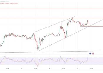 EUR/USD & EUR/GBP Analysis: High Volatility with Trends