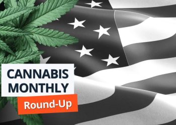 Cannabis Round-Up: Rescheduling Stalls in the US, Banking Reform Hits Another Setback