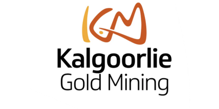 ‘Lighthorse’ Gold Discovery at Pinjin: Thick, High-grade Gold Intercepted at New Greenfields Find