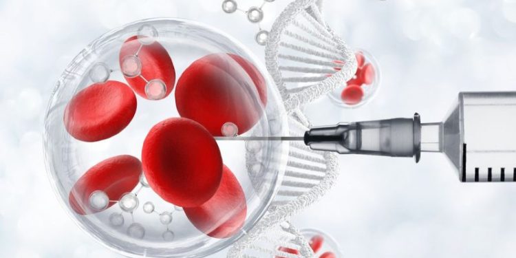 How to Invest in Biotechnology (Updated 2024)