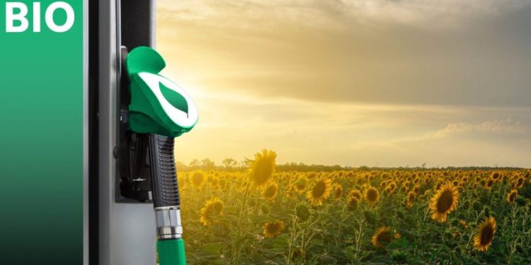 6 US Biofuel Stocks in 2025