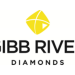 Edjudina Gold Project, WA – Permitting Application to Mine Neta Prospect Lodged