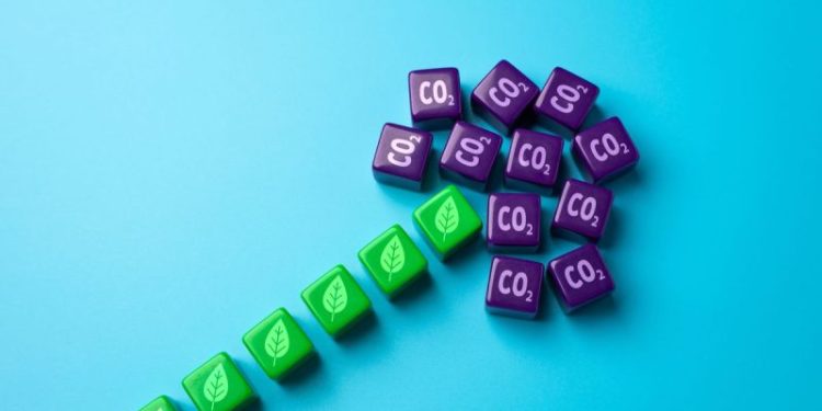 Funding the Energy Transition: The Role of Public and Private Finance in Building Supply Chains