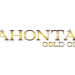 Lahontan Announces Upsize to Private Placement of Units